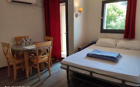 Appartement Les Palmiers